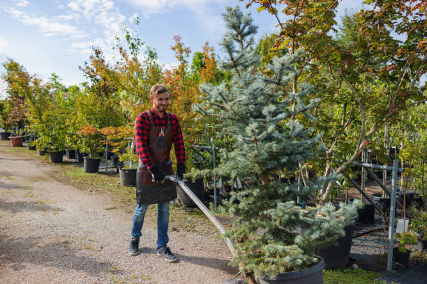 Best Tree Planting Services  in West Milwaukee, WI